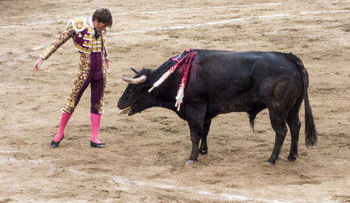 Full length of child standing on land