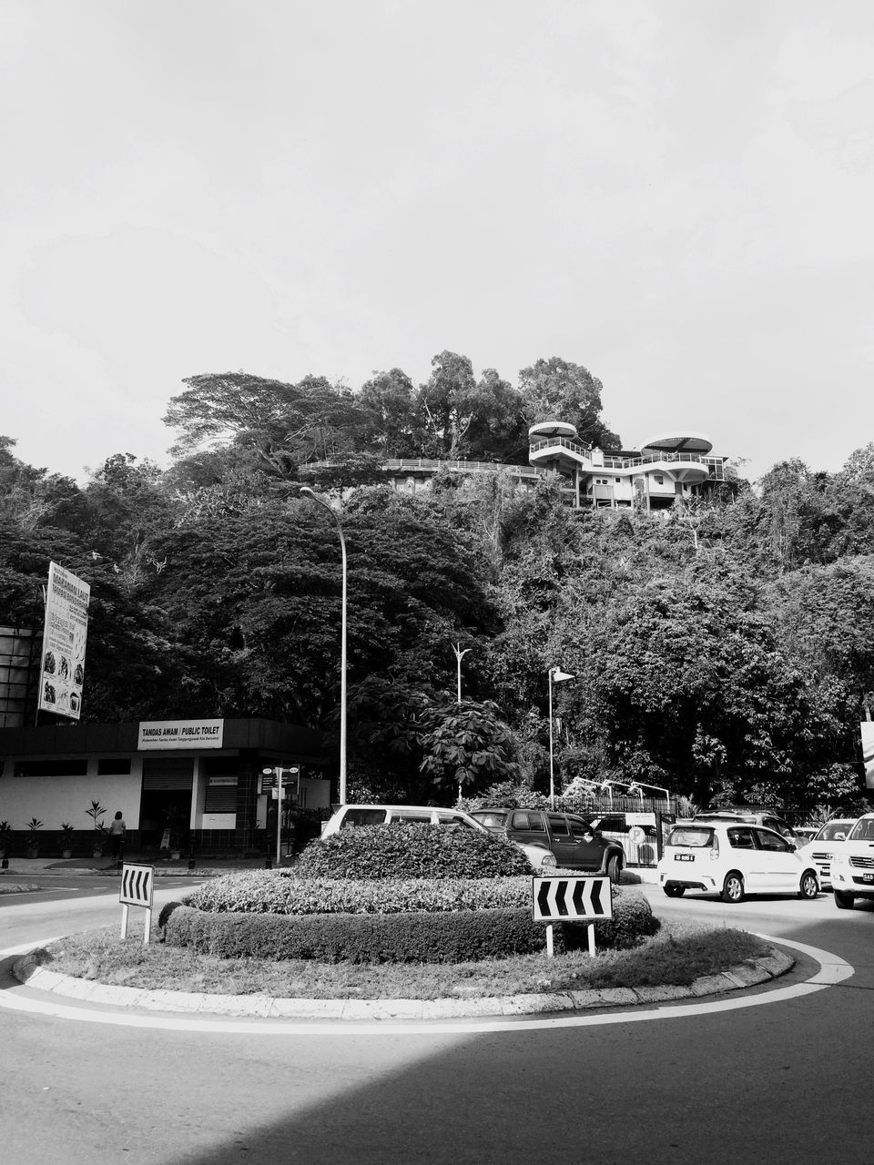 tree, clear sky, road, transportation, street, built structure, building exterior, architecture, street light, copy space, growth, land vehicle, sky, car, day, sunlight, outdoors, incidental people, empty, the way forward