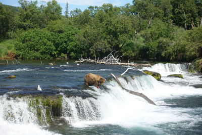 Scenic view of waterfall