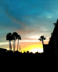 Silhouette palm trees at sunset