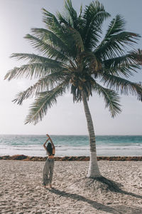 Palm tree on beach against sky