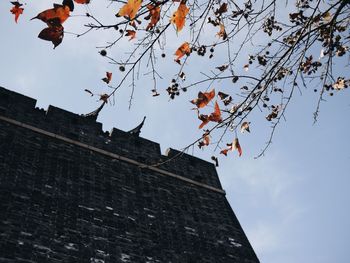 Low angle view of building against sky