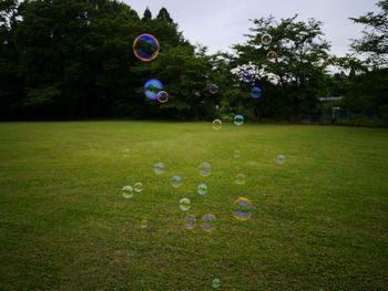 High angle view of bubbles in park