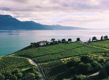 Scenic view of landscape and sea against sky