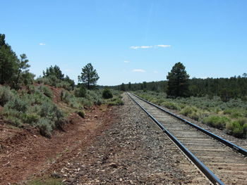 Railroad track amidst trees against blue sky