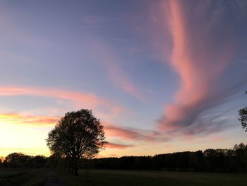 Silhouette trees on field against romantic sky at sunset