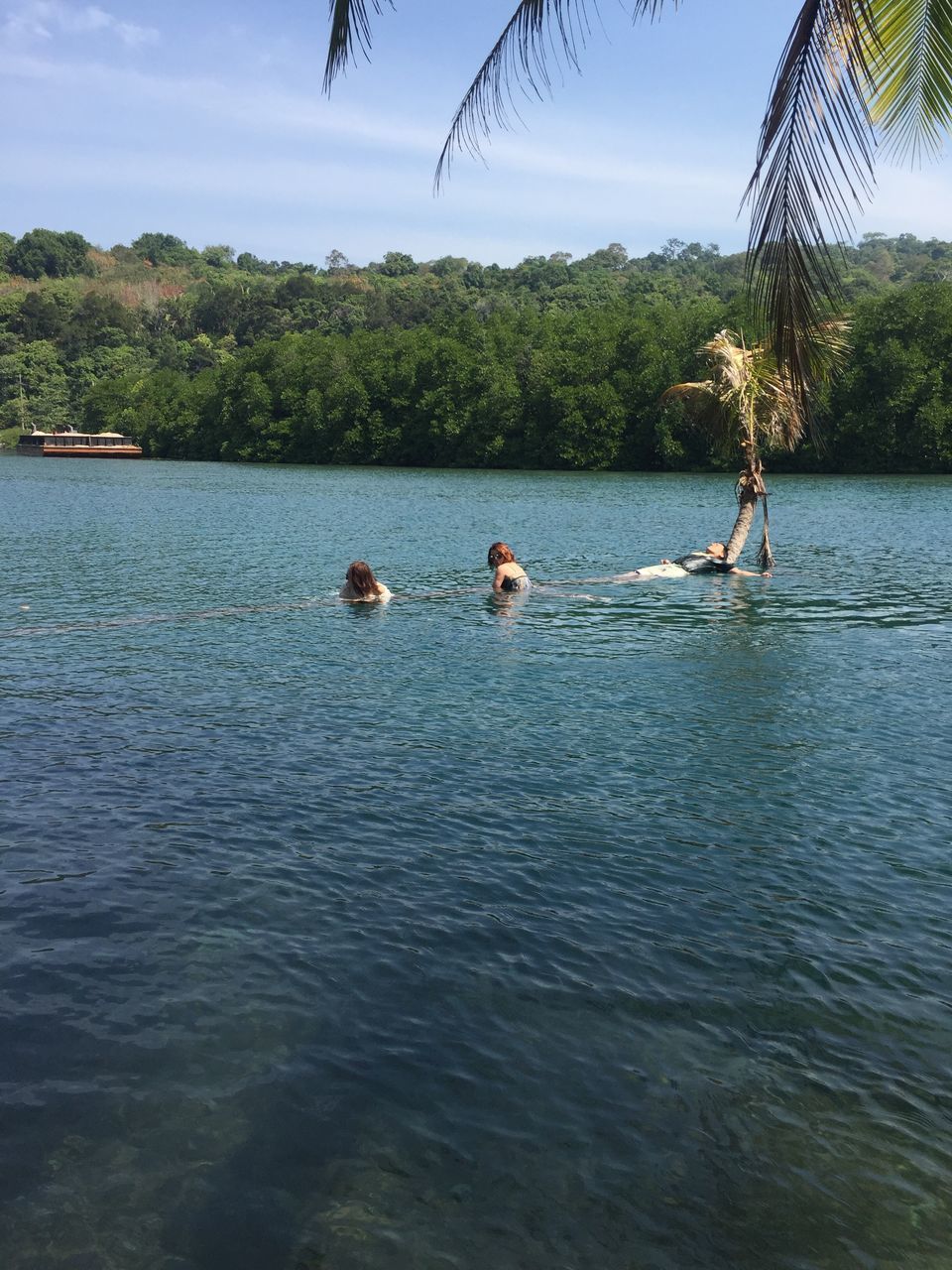 DUCKS SWIMMING ON LAKE