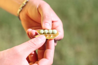 Close-up of person holding green peas