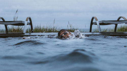 Man swimming in swimming pool