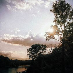 Sun shining through trees