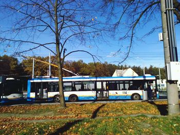 Cars parked on road