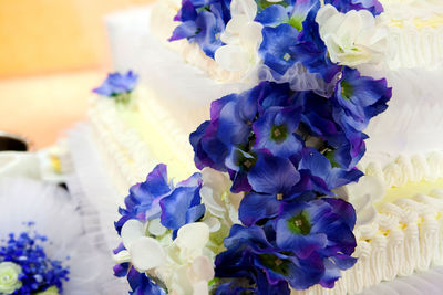 Close-up of purple flowers