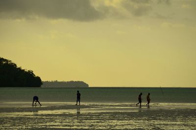 Scenic view of sea at sunset