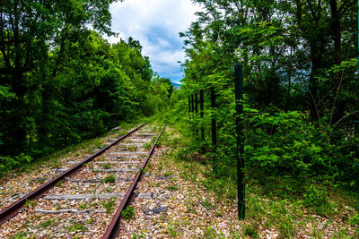 Railroad tracks amidst trees in forest against sky