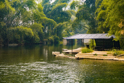 Scenic view of lake in forest