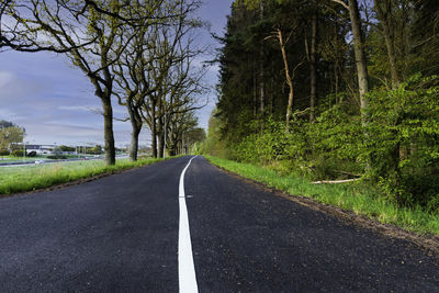 Road amidst trees in forest