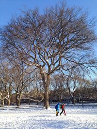 Silhouette of woman in park