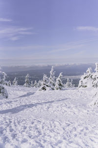 Scenic view of snow covered field against sky