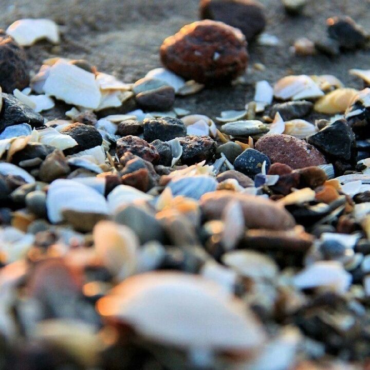 pebble, selective focus, abundance, beach, large group of objects, stone - object, surface level, close-up, nature, seashell, focus on foreground, rock - object, day, outdoors, stone, high angle view, shore, sand, sunlight, tranquility