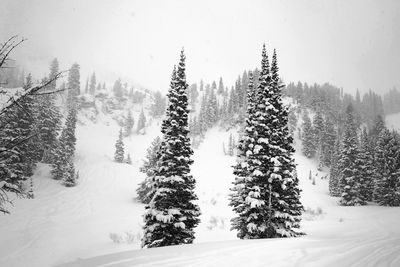 Scenic view of snow covered landscape