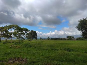 Scenic view of field against sky