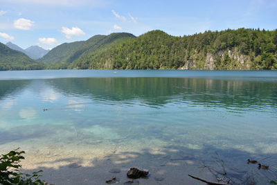 Scenic view of lake in forest against sky