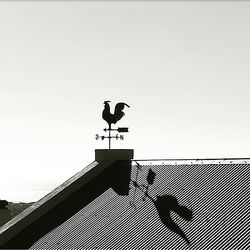Silhouette of bird on roof against clear sky