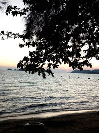 Silhouette tree by sea against sky during sunset