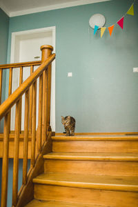 Rear view of woman sitting on staircase