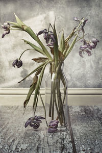 Close-up of wilted flower in vase on table