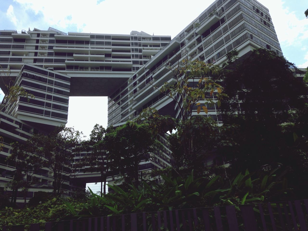 Interlace