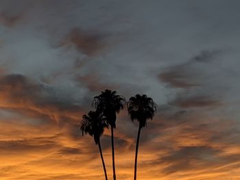 Low angle view of palm tree against sky during sunset