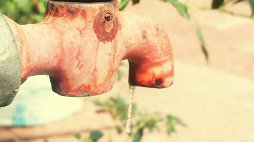 Close-up of red water