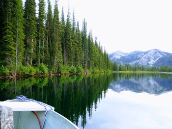 Scenic view of lake by trees against sky