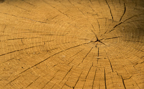 Full frame shot of cracked wall