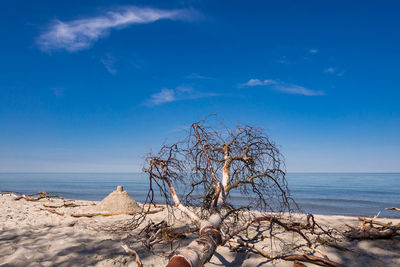 Scenic view of sea against blue sky