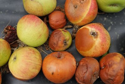High angle view of apples on table