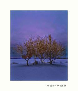 Bare trees on landscape against blue sky