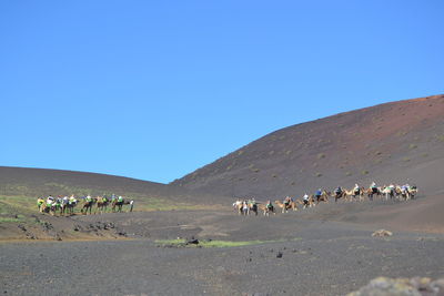 Group of people on desert against clear sky