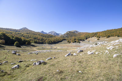 Scenic view of landscape against clear sky