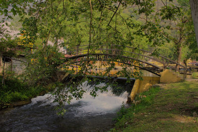 Bridge over river amidst trees