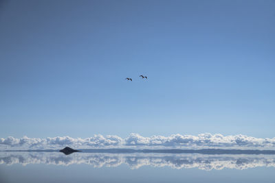 Birds flying over lake against sky