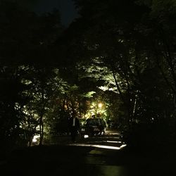 View of illuminated trees at night