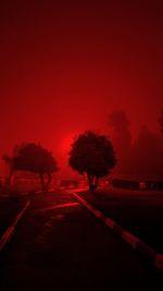 Road by trees against sky during sunset