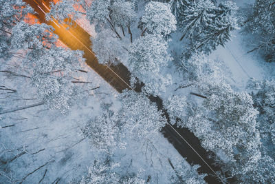 Aerial view of road amidst frozen trees during winter