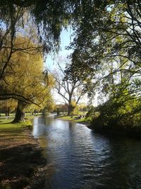 Scenic view of river amidst trees against sky