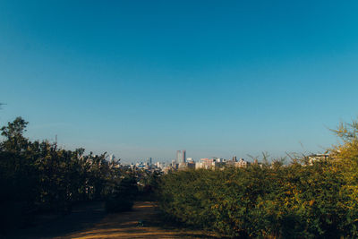 Plants and trees against clear blue sky