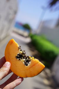 Cropped image of hand holding orange