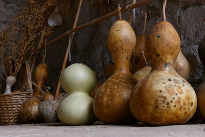 gourd