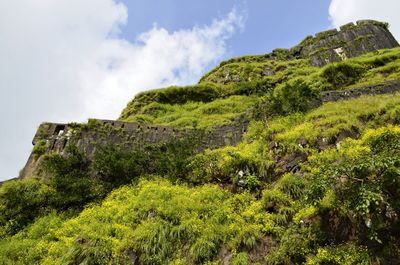 Low angle view of green mountain against sky